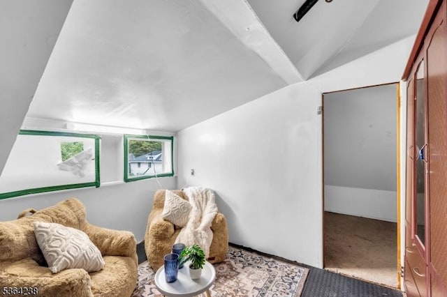 1332 Maple Ter, Rahway City, NJ 07065 - living area with vaulted ceiling and carpet flooring