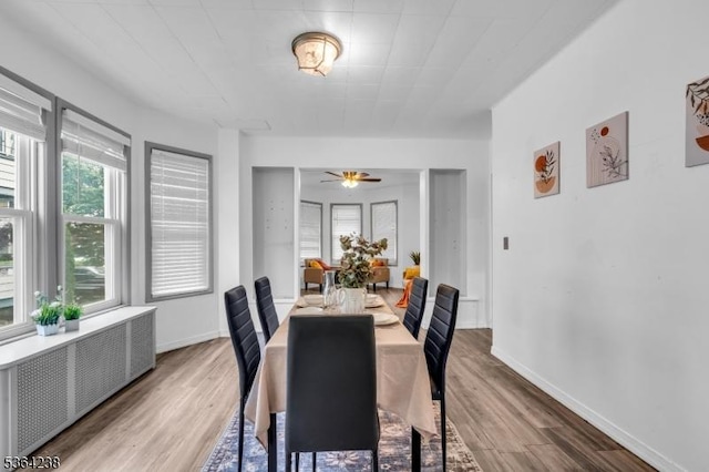 1332 Maple Ter, Rahway City, NJ 07065 - dining room featuring wood finished floors, radiator, and ceiling fan
