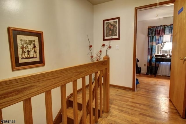 6 Essex St Unit F-32, Belleville Twp, NJ 07109 - hallway featuring light wood-style flooring and baseboards
