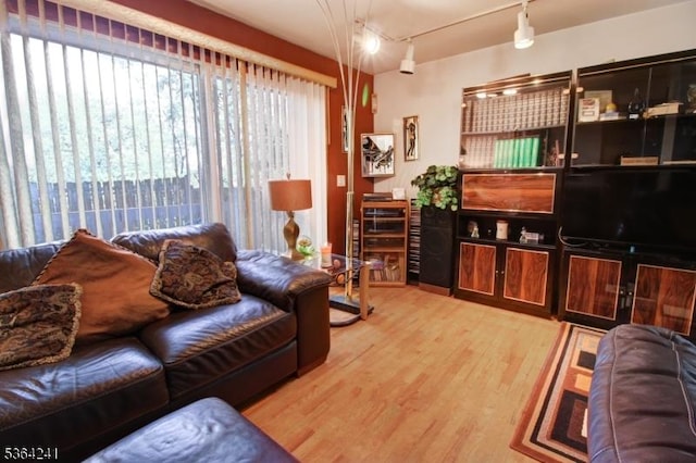 6 Essex St Unit F-32, Belleville Twp, NJ 07109 - living area with wood finished floors and rail lighting