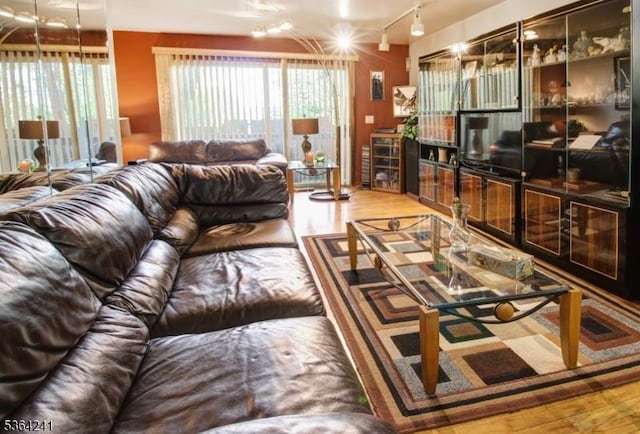 6 Essex St Unit F-32, Belleville Twp, NJ 07109 - living room featuring wood finished floors and rail lighting