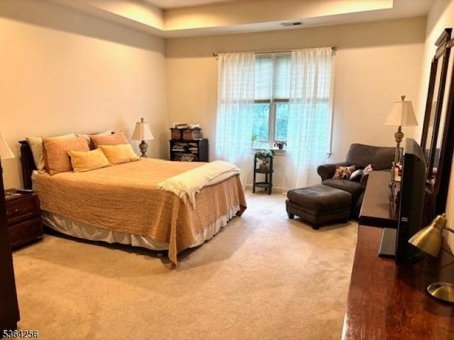 28 Ridgeview Ln, Mount Arlington Boro, NJ 07856 - bedroom featuring a tray ceiling