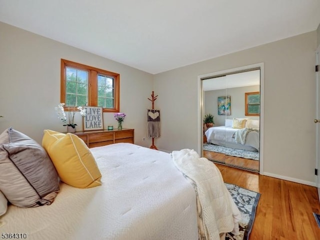 23 Felter Pl, Jefferson Twp, NJ 07849 - bedroom with wood finished floors and a closet