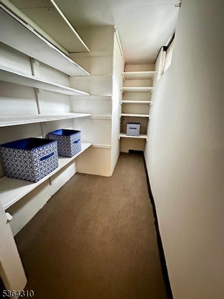 23 Felter Pl, Jefferson Twp, NJ 07849 - walk in closet featuring carpet floors