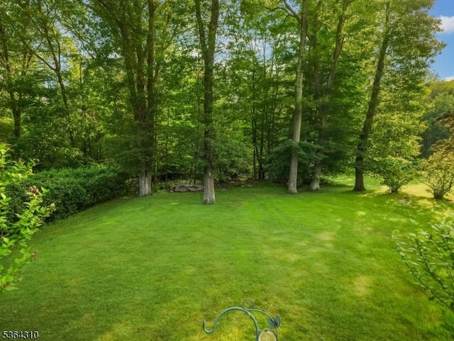 23 Felter Pl, Jefferson Twp, NJ 07849 - view of green lawn