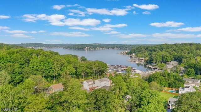 23 Felter Pl, Jefferson Twp, NJ 07849 - bird's eye view of a large body of water