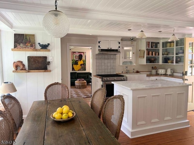 4 Lambert Rd, Delaware Twp, NJ 08559 - kitchen featuring stainless steel electric range, under cabinet range hood, ornamental molding, open shelves, and decorative light fixtures