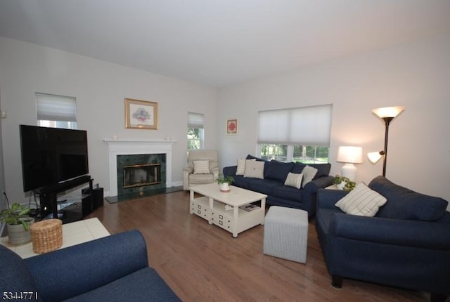 58 Greenbrook Rd, Green Brook Twp, NJ 08812 - living area featuring healthy amount of natural light, wood finished floors, and a fireplace