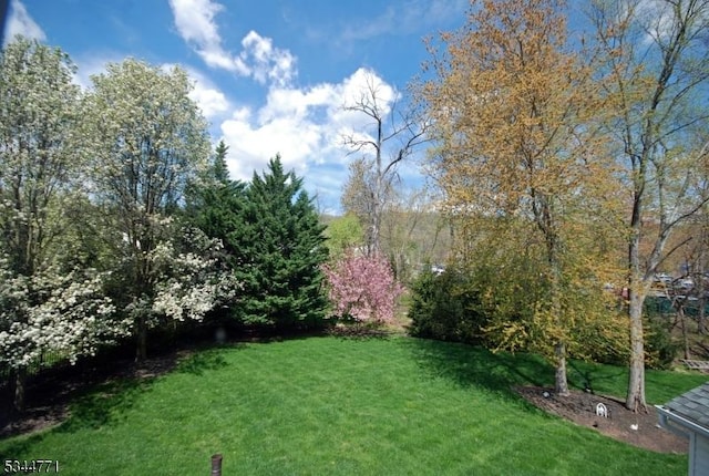 58 Greenbrook Rd, Green Brook Twp, NJ 08812 - view of green lawn
