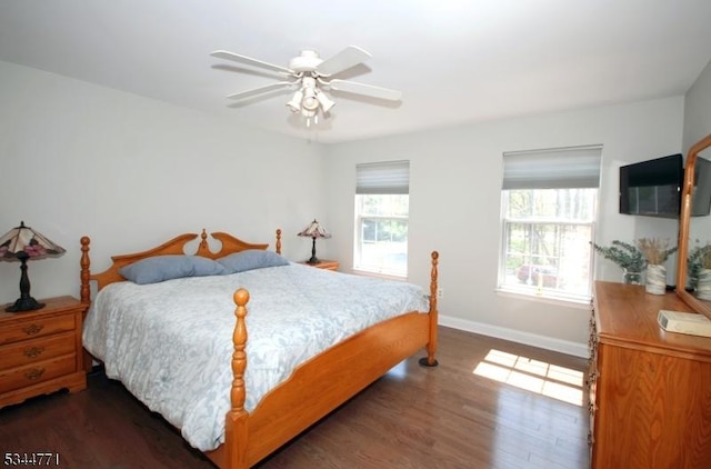 58 Greenbrook Rd, Green Brook Twp, NJ 08812 - bedroom with dark wood finished floors and ceiling fan