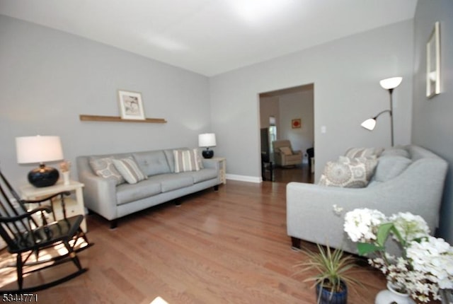 58 Greenbrook Rd, Green Brook Twp, NJ 08812 - living room featuring light wood-type flooring and baseboards