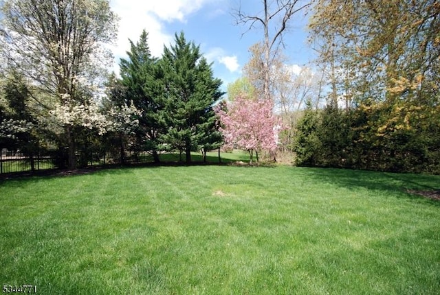58 Greenbrook Rd, Green Brook Twp, NJ 08812 - view of yard