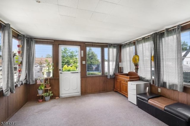 520 Marion St, Bound Brook Boro, NJ 08805 - sunroom with carpet flooring and wood walls