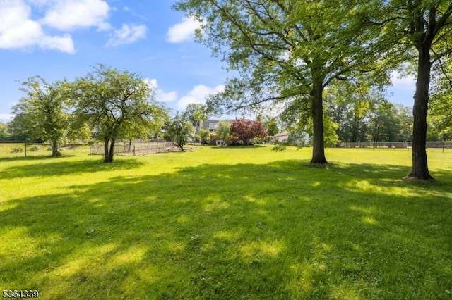 87 S Ridgedale Ave, East Hanover Twp, NJ 07936 - view of yard