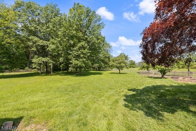 87 S Ridgedale Ave, East Hanover Twp, NJ 07936 - view of yard