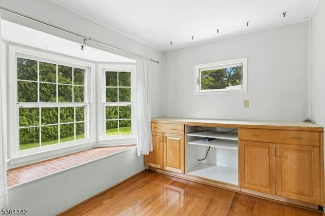 203 Beech St, Cranford Twp, NJ 07016 - unfurnished office featuring light wood-type flooring