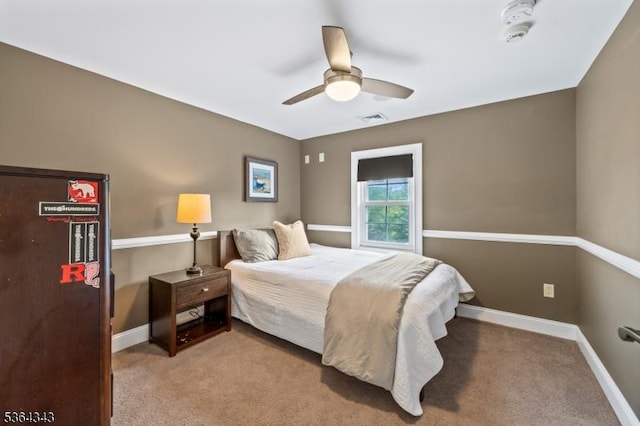 231 Woods Rd, Hillsborough Twp, NJ 08844 - bedroom featuring carpet floors and ceiling fan