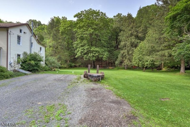 2056 State Route 31, Lebanon Twp, NJ 08826 - view of green lawn with a view of trees