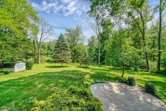 125 Drakestown Rd, Washington Twp, NJ 07853 - view of grassy yard featuring a storage unit and a forest view