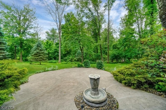 125 Drakestown Rd, Washington Twp, NJ 07853 - view of patio / terrace