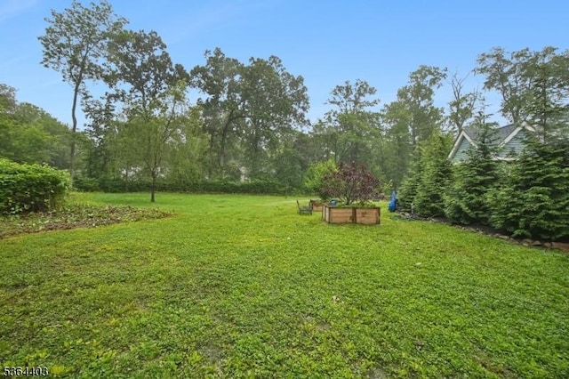 18 Forest Trl, Bernards Twp, NJ 07920 - view of green lawn