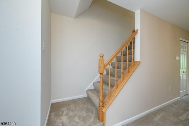 1505 Doolittle Dr, Bridgewater Twp, NJ 08807 - stairs with carpet flooring