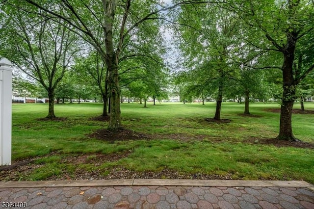 1505 Doolittle Dr, Bridgewater Twp, NJ 08807 - view of green lawn
