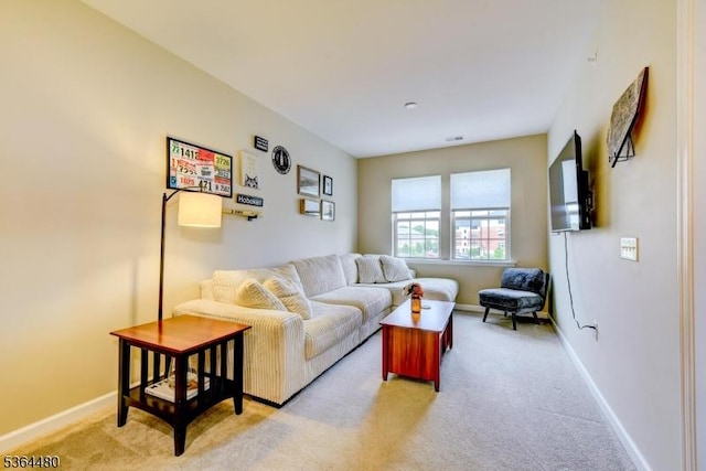 1005 Station Rd, Somerville Boro, NJ 08876 - living room featuring light carpet and baseboards