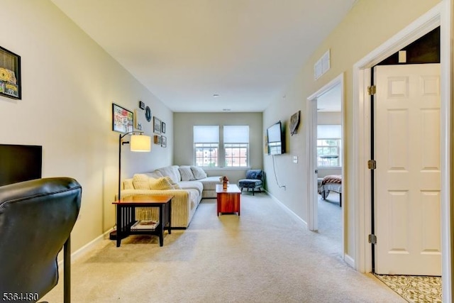 1005 Station Rd, Somerville Boro, NJ 08876 - living room featuring carpet and baseboards
