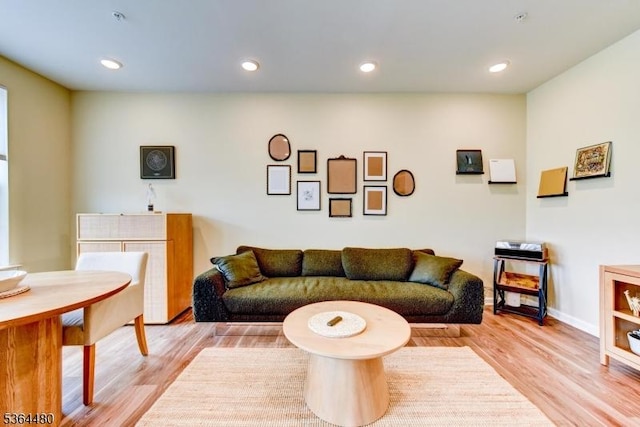 1005 Station Rd, Somerville Boro, NJ 08876 - living room with light wood finished floors and recessed lighting