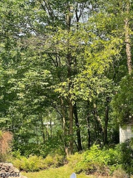 250 Waconia Rd, Vernon Twp, NJ 07422 - view of wooded area