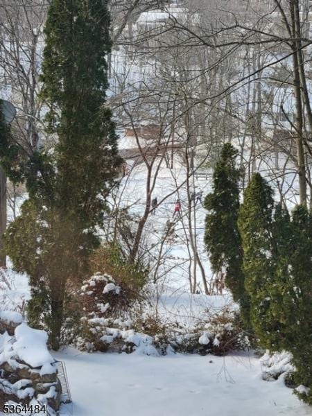 250 Waconia Rd, Vernon Twp, NJ 07422 - water view