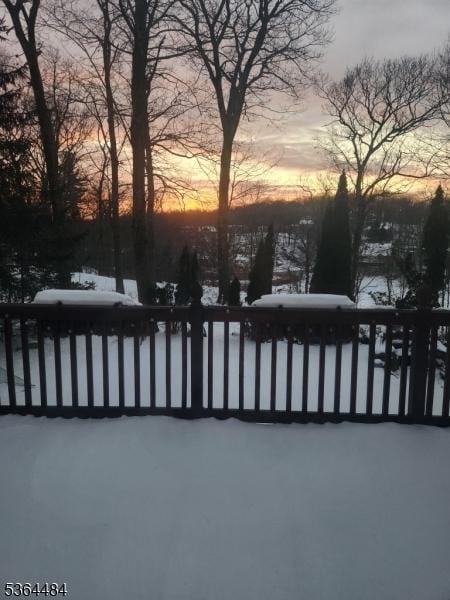 250 Waconia Rd, Vernon Twp, NJ 07422 - view of snow covered patio