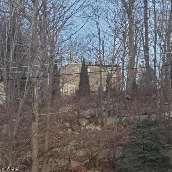 250 Waconia Rd, Vernon Twp, NJ 07422 - view of undeveloped land