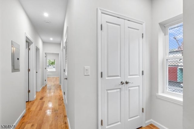 22 Speedway Ave, Newark City, NJ 07106 - corridor featuring light wood-style floors, electric panel, and recessed lighting