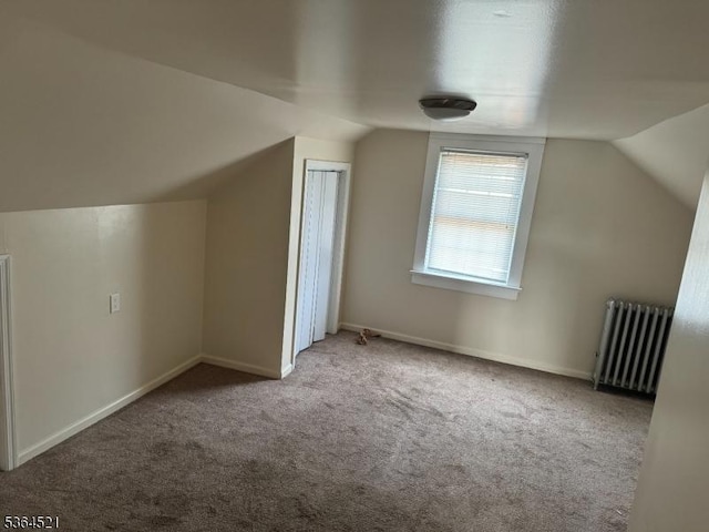 226 N 3rd Ave, Manville Boro, NJ 08835 - bonus room featuring radiator heating unit, vaulted ceiling, and carpet