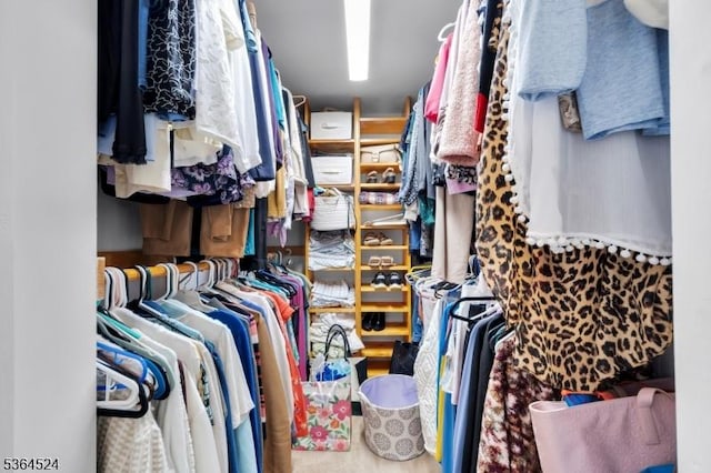 32 Sanford Dr, Randolph Twp, NJ 07869 - view of spacious closet