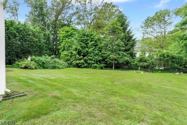 32 Sanford Dr, Randolph Twp, NJ 07869 - view of grassy yard
