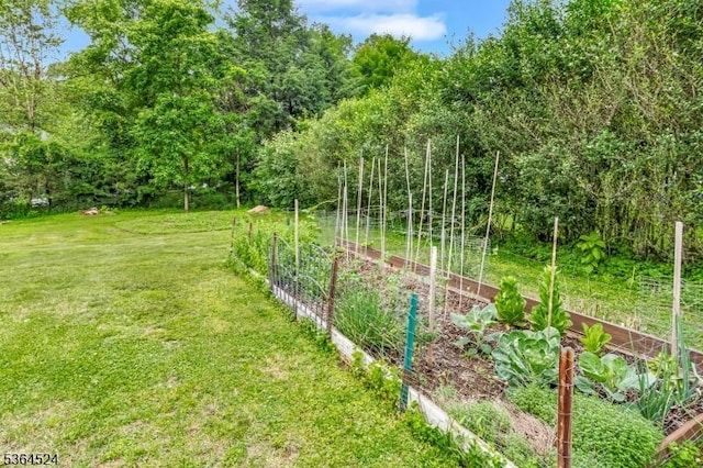 32 Sanford Dr, Randolph Twp, NJ 07869 - view of grassy yard with a vegetable garden
