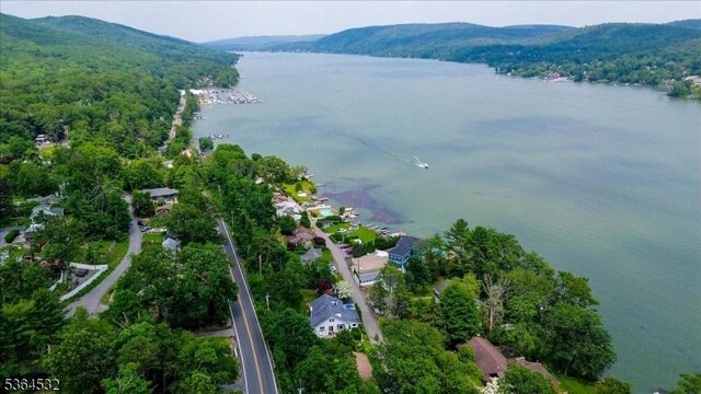31 Somerville Rd, West Milford Twp, NJ 07421 - aerial view of property and surrounding area with a water and mountain view