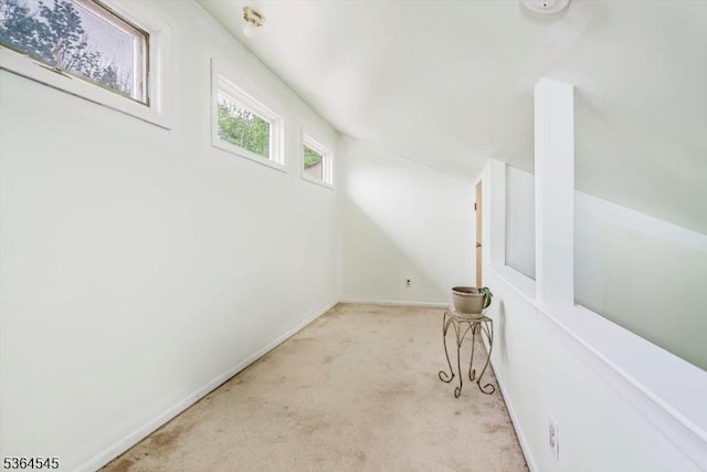 312 Cheyenne Rd Unit 312, Andover Twp, NJ 07848 - corridor with carpet floors and baseboards