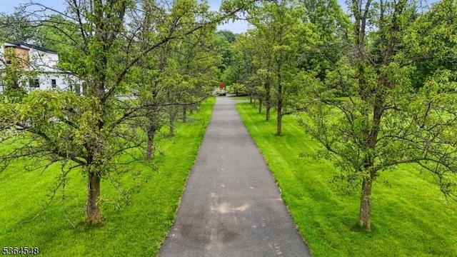 84 Liberty Corner Rd, Warren Twp, NJ 07059 - view of road