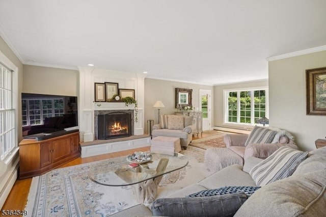 5 Woodland Rd, Franklin Twp, NJ 08867 - living room featuring light wood finished floors, a lit fireplace, and ornamental molding