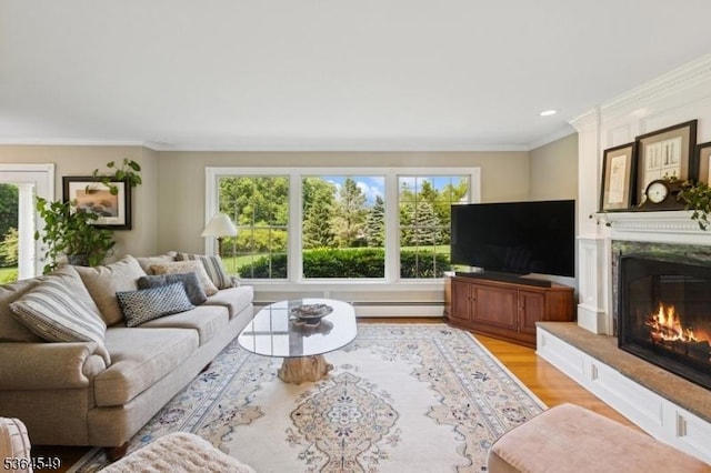 5 Woodland Rd, Franklin Twp, NJ 08867 - living area featuring a baseboard heating unit, healthy amount of natural light, ornamental molding, light wood-type flooring, and a premium fireplace