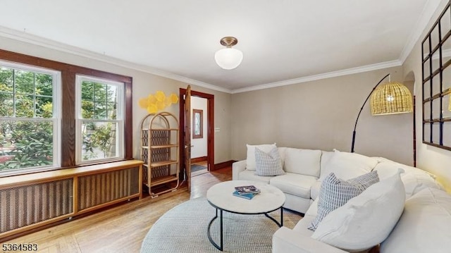 18 Lasalle Ave, Cranford Twp, NJ 07016 - living area featuring wood finished floors, ornamental molding, and radiator heating unit