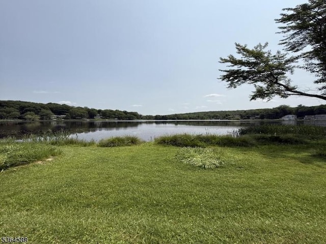 65 Lake Shore Dr, Sparta Twp, NJ 07871 - water view