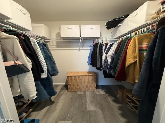 65 Lake Shore Dr, Sparta Twp, NJ 07871 - walk in closet with wood finished floors