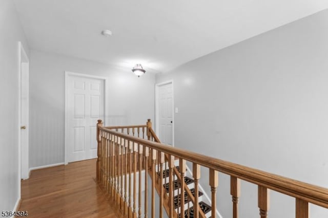 54 Magellan Way, Franklin Twp, NJ 08823 - corridor featuring an upstairs landing and wood finished floors