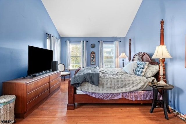 54 Magellan Way, Franklin Twp, NJ 08823 - bedroom featuring lofted ceiling and light wood-style flooring