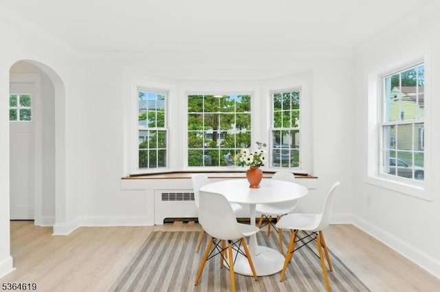 28-30 Reynolds Pl, Newark City, NJ 07106 - dining room with radiator, plenty of natural light, and light wood finished floors